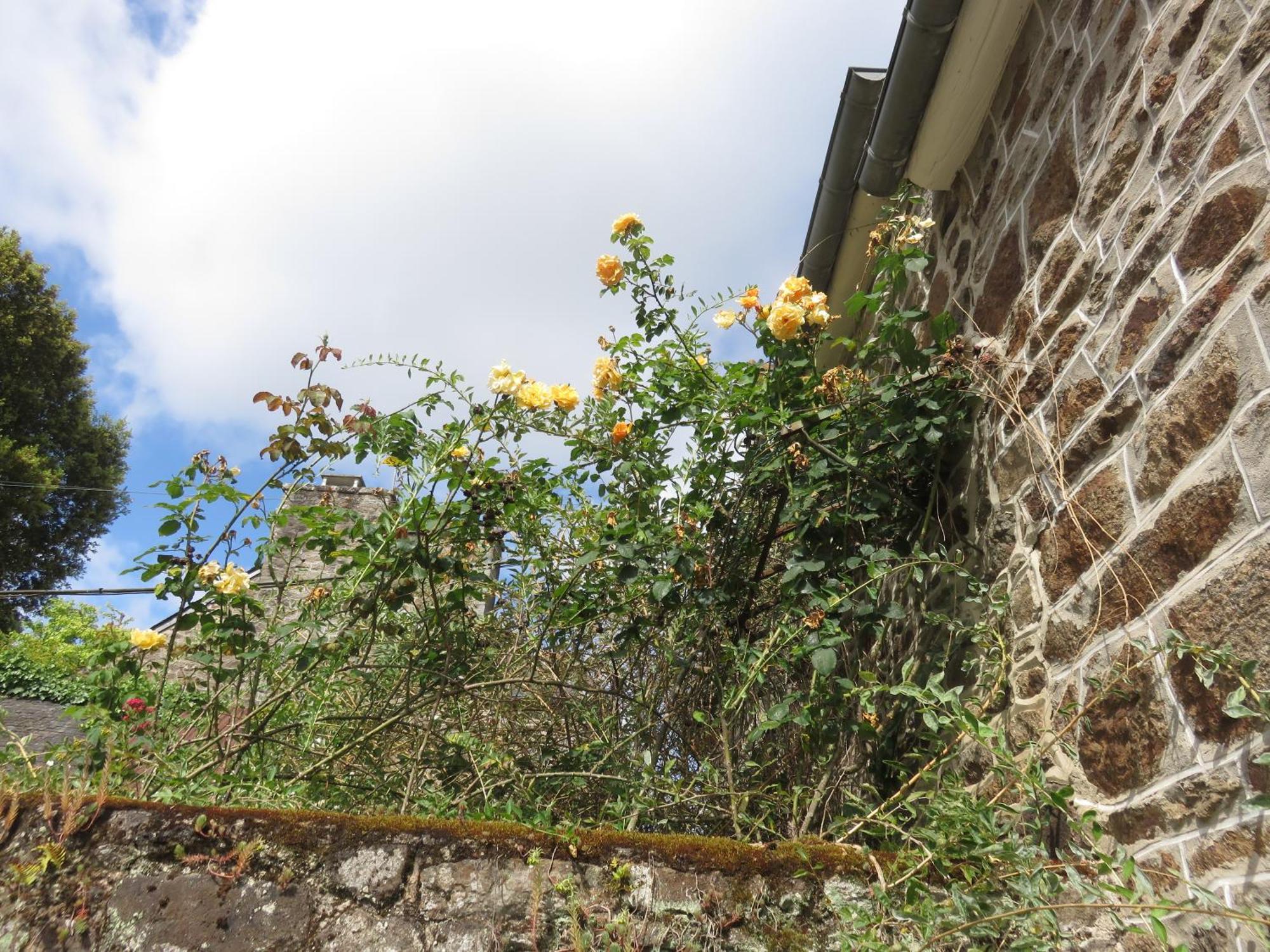 Le Jardin à Mordreuc Pleudihen-sur-Rance Exterior foto